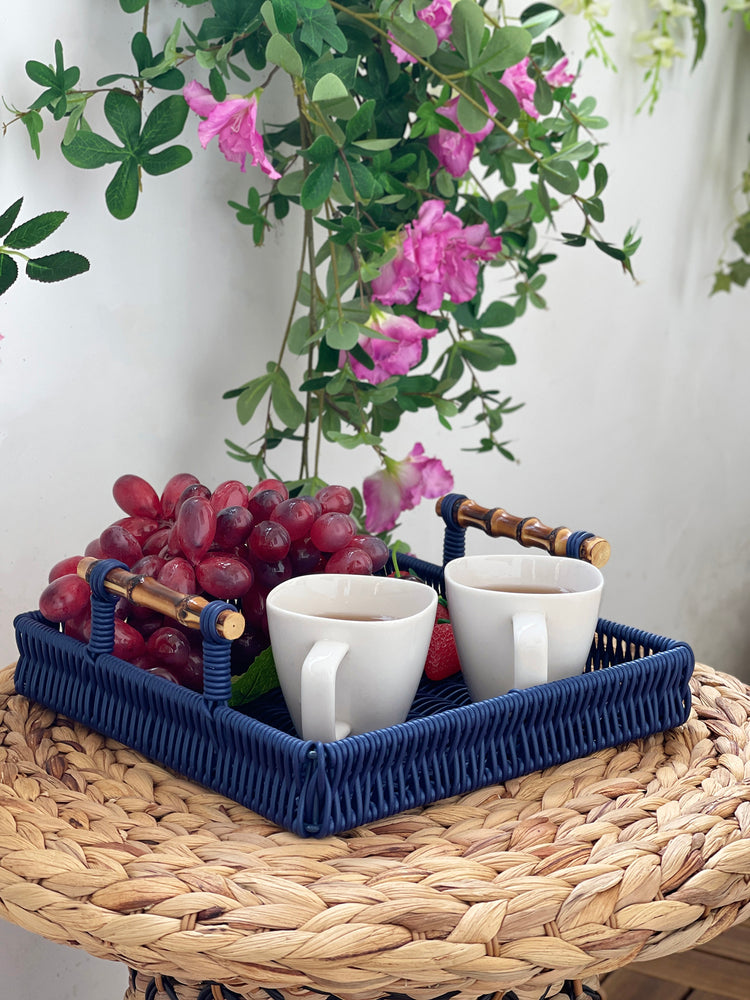 ELE LIGHT & DECOR Outdoor/Indoor PE Rattan Serving Tray With Handle Set of 2