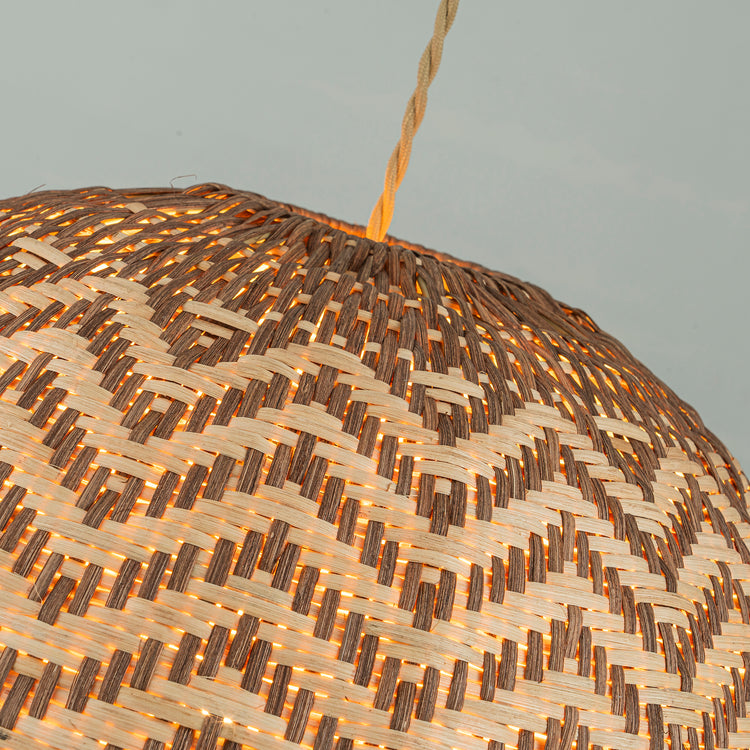 Vividia 1-Light Natural Rattan Hanging Pendant Light