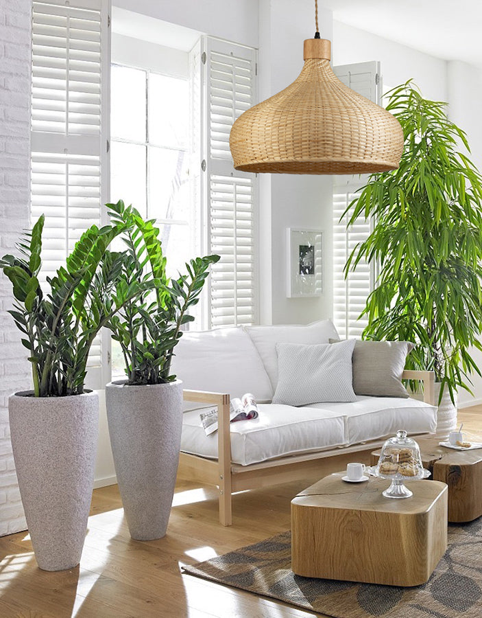 Rasa Pendant Light