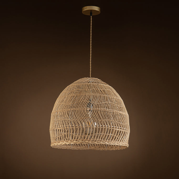 Aura Light Dome Pendant Light